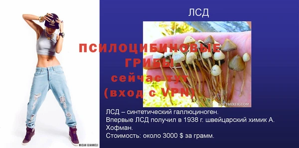 прущая мука Белоозёрский