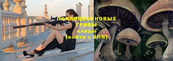 прущая мука Белоозёрский