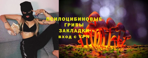 дурь Белокуриха