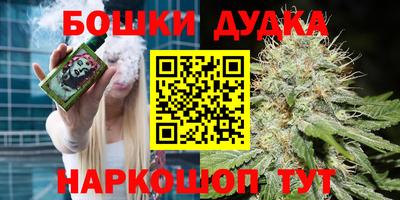 мдпв Заводоуковск