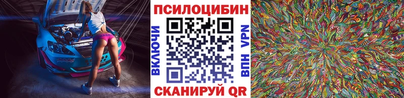наркотики  Воскресенск  Псилоцибиновые грибы Psilocybe 