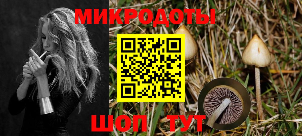 Галлюциногенные грибы Psilocybe Воскресенск